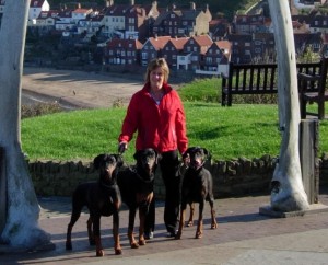 jodaseen dobermanns