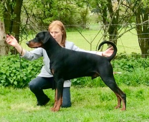 Cheryl & Rhogan WELKS 250416 – Copy