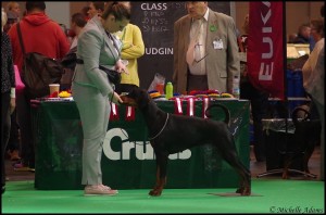 Karen & Elsa Crufts 120316